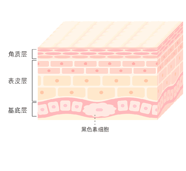 夏天要白三个度 就得用它!用它!用它!3.gif 夏天要白三个度 就得用它!用它!用它!3.gif